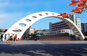廣東白云學院